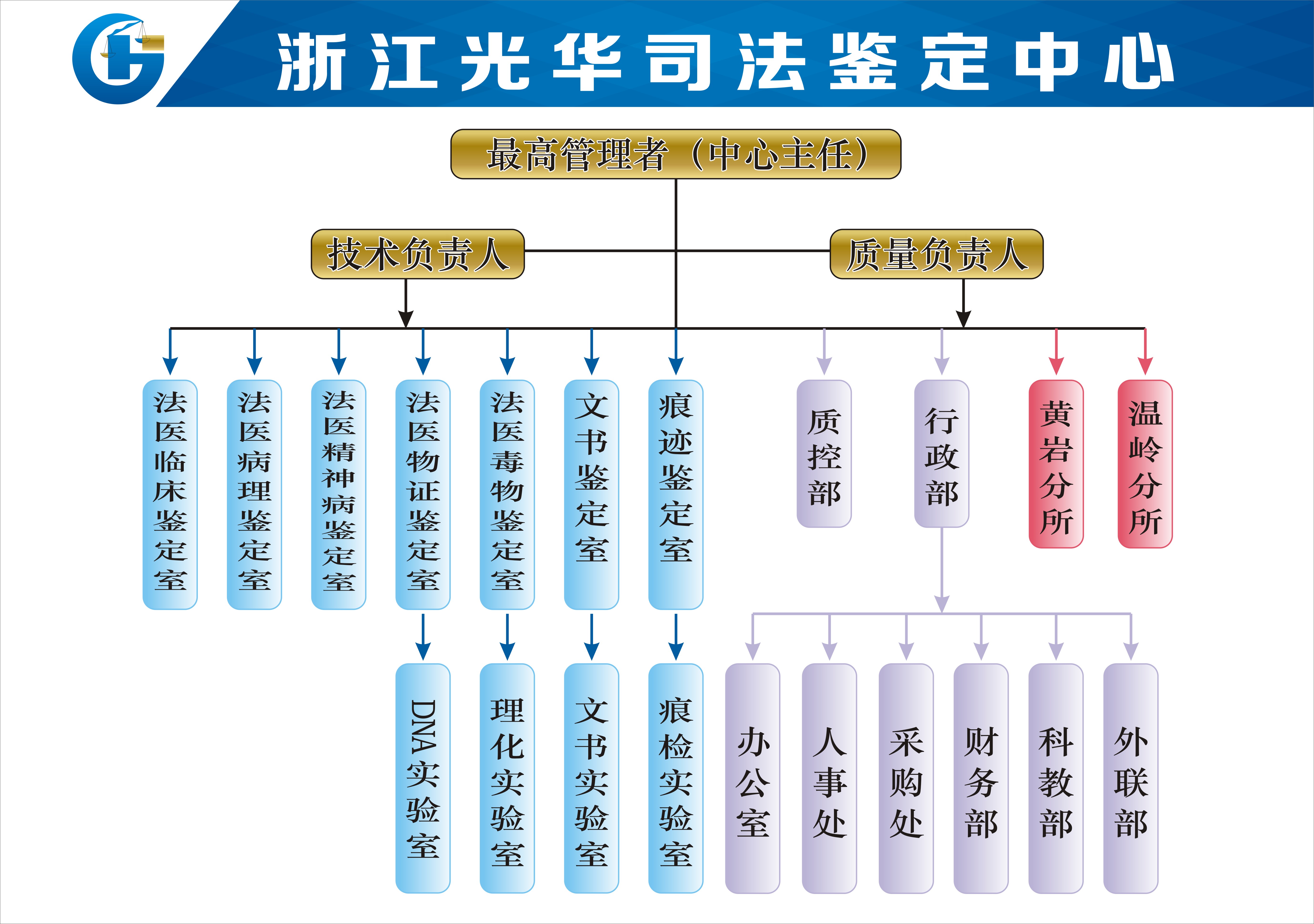 组织结构图.jpg